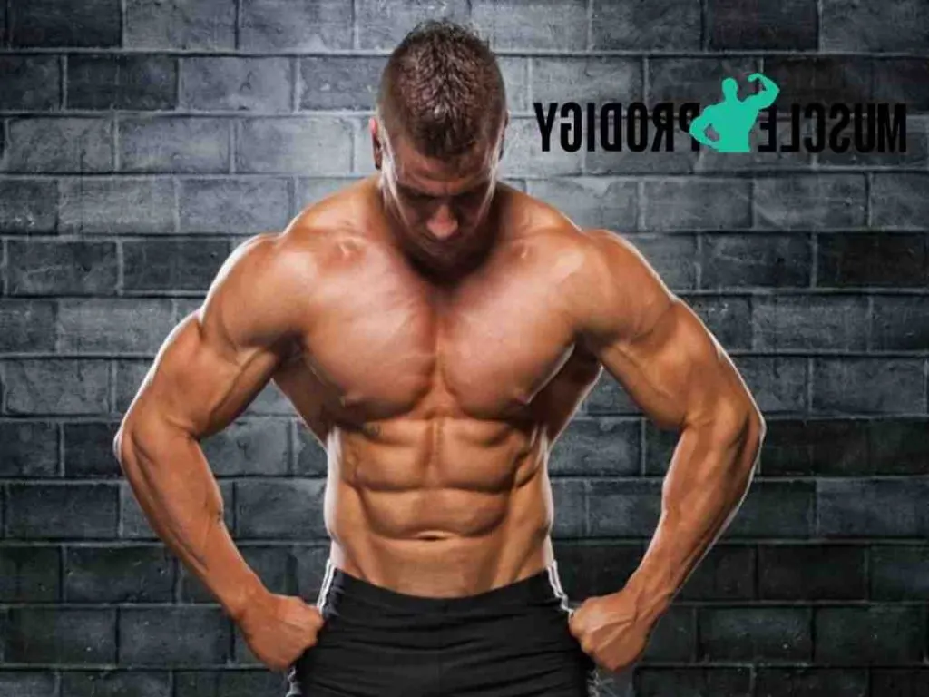Comment avoir des abdos le plus vite possible ?