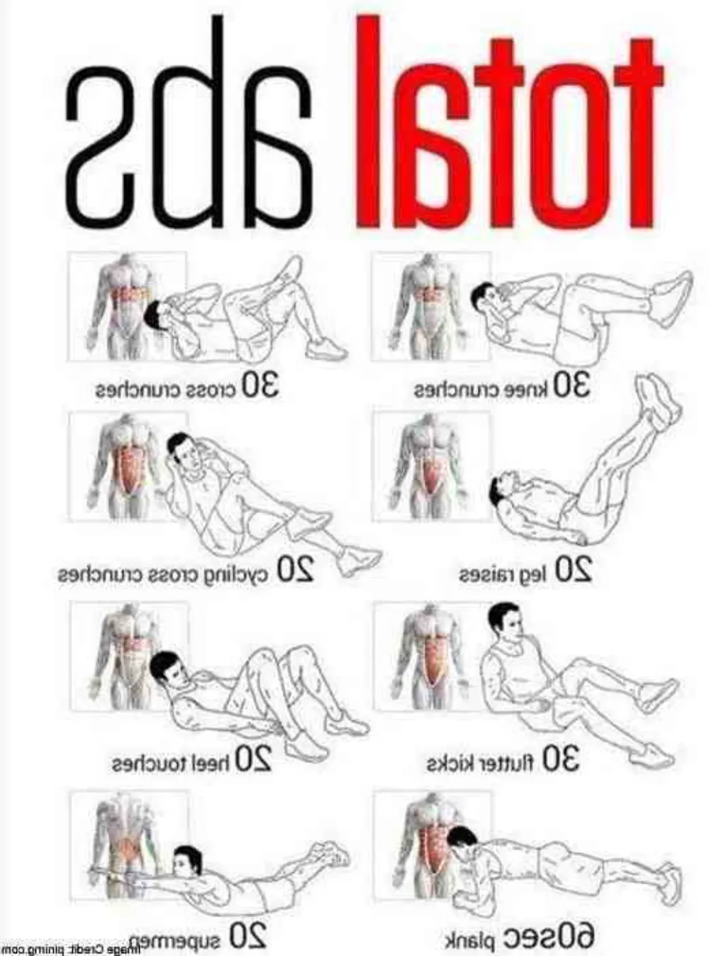 Comment se forment les abdos ?