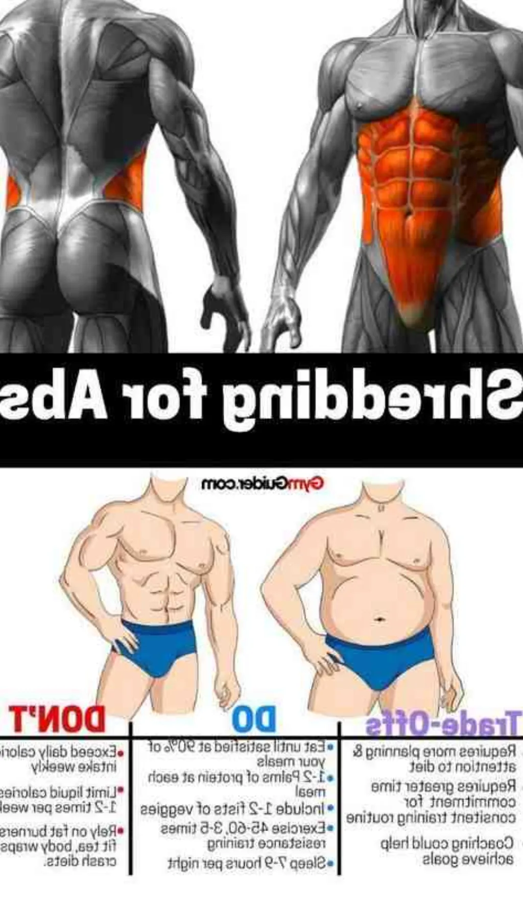 Pourquoi je n'arrive pas à avoir des abdos ?
