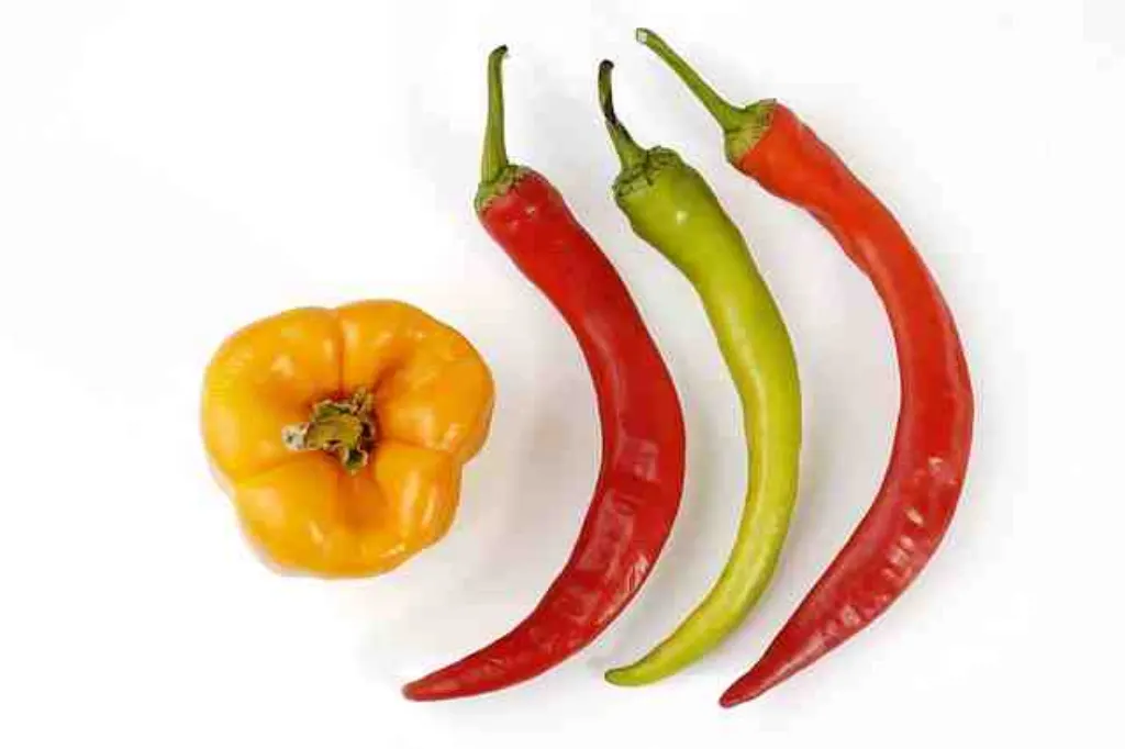 Quel fruit contient le plus de protéines ?