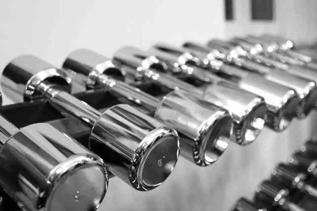 Quel menu pour prendre du muscle ?