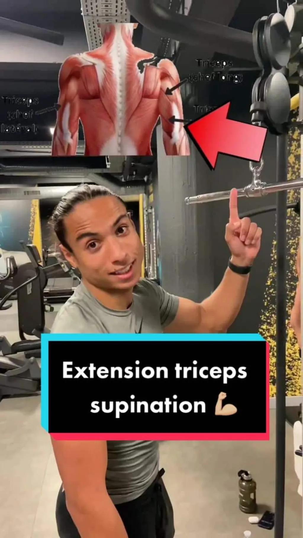 @legi_workout Abonne toi pour plus d’exercices! #triceps #musculation