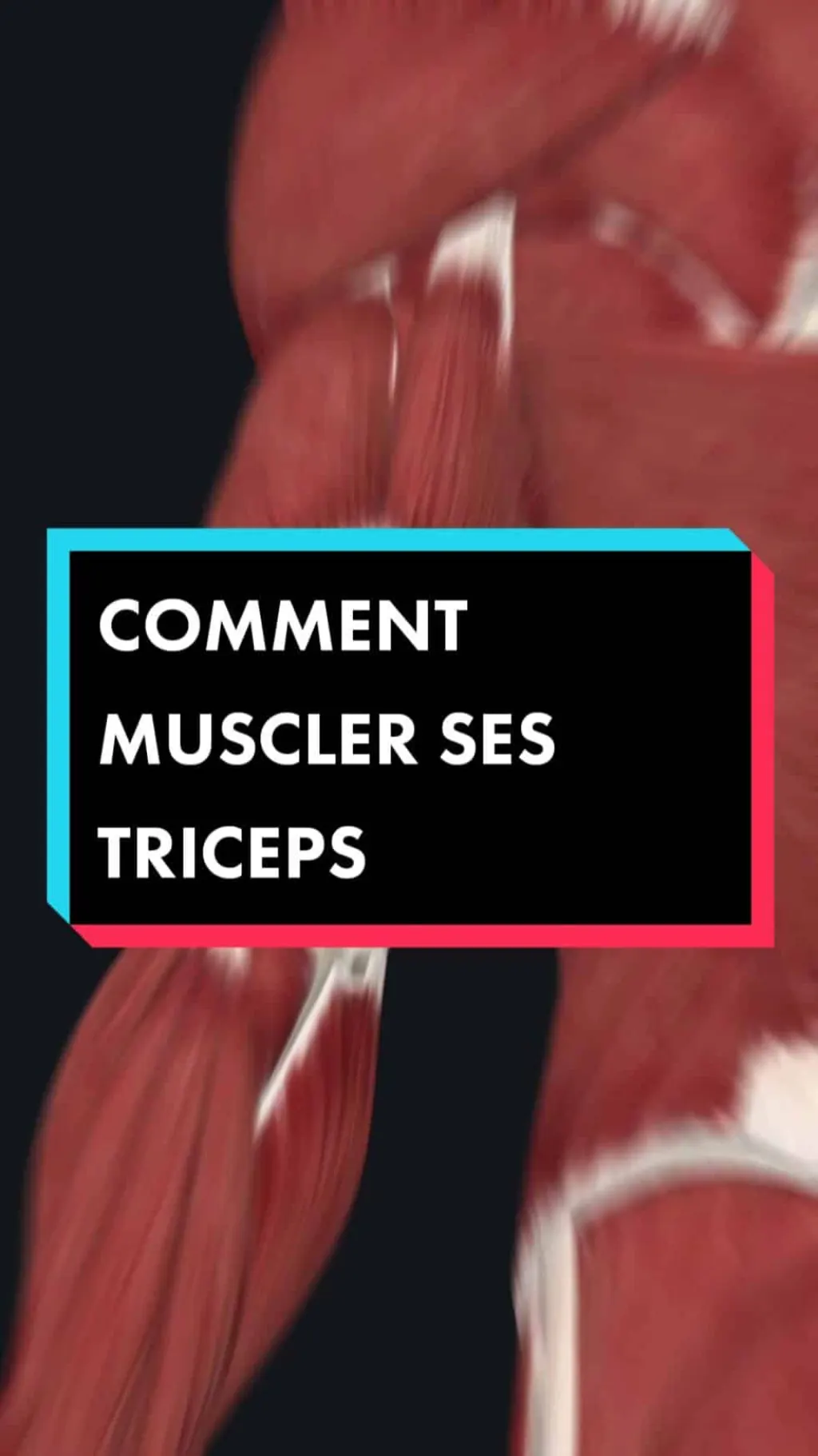 @nico.tchoun Comment muscler ses triceps ? #exercicetriceps