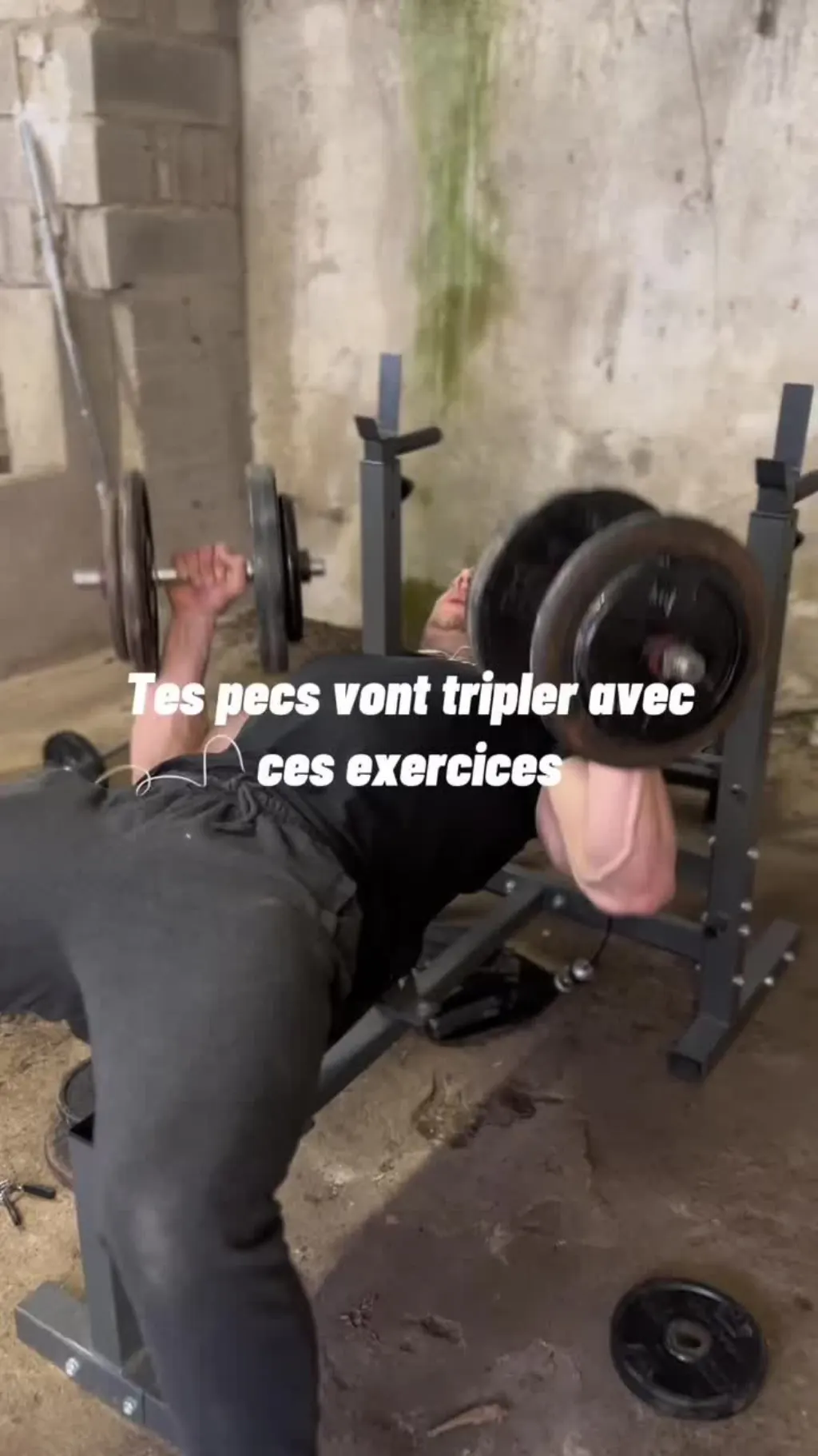 @theoo.lrt Exercices pecs avec haltères #exercicepec #exercicepecs